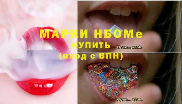 индика Касимов