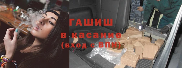 индика Касимов