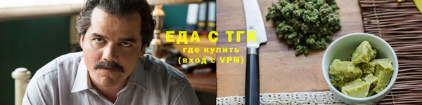 индика Касимов