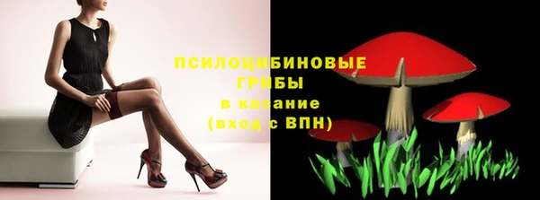 индика Касимов