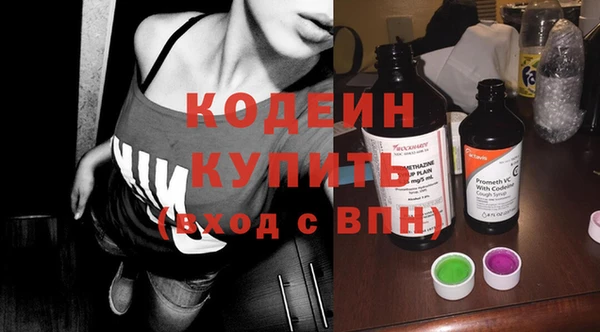 индика Касимов