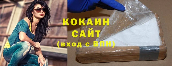 индика Касимов