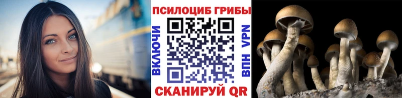 Галлюциногенные грибы GOLDEN TEACHER  купить  цена  Медвежьегорск 